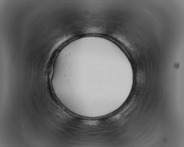 X0000099931309200806201047