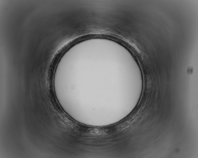 X0000099931311200806201047