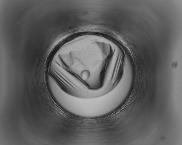 X0000099931312200806201047