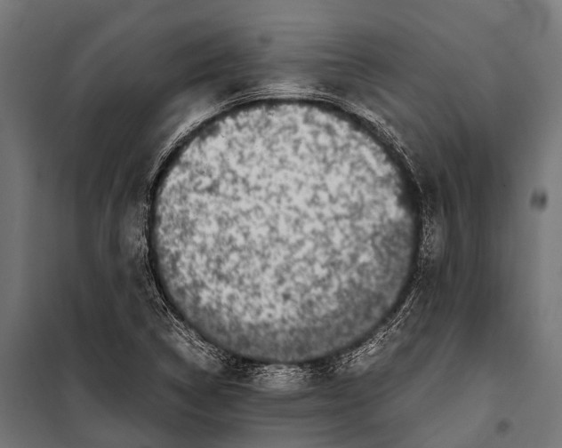 X0000099931314200806201047