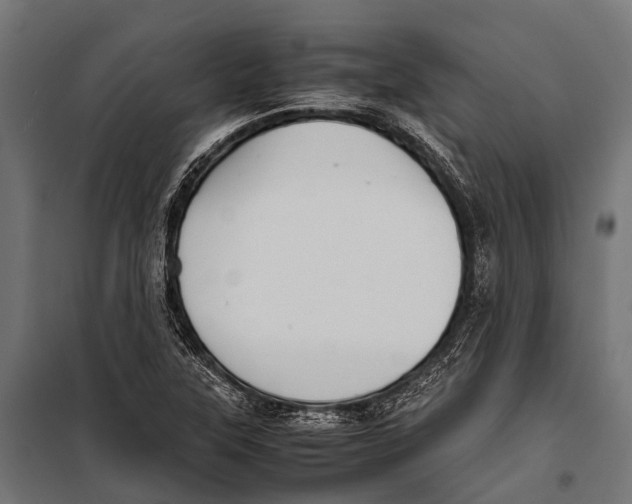 X0000099931315200806201047