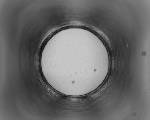 X0000099931318200806201047