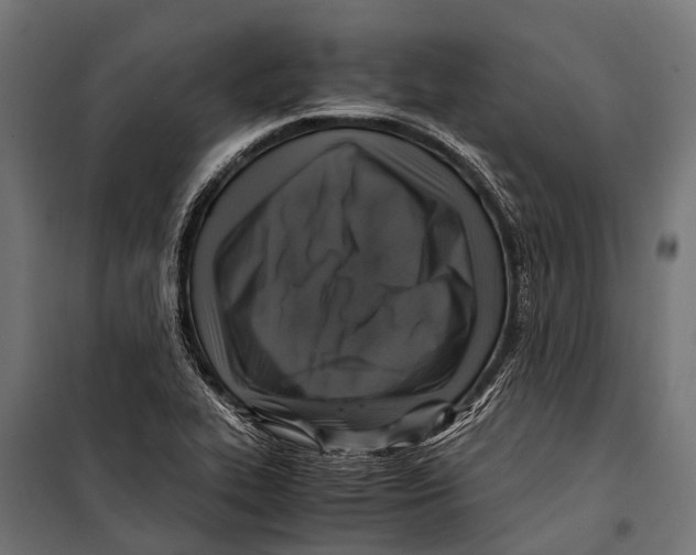 X0000099931319200806201047