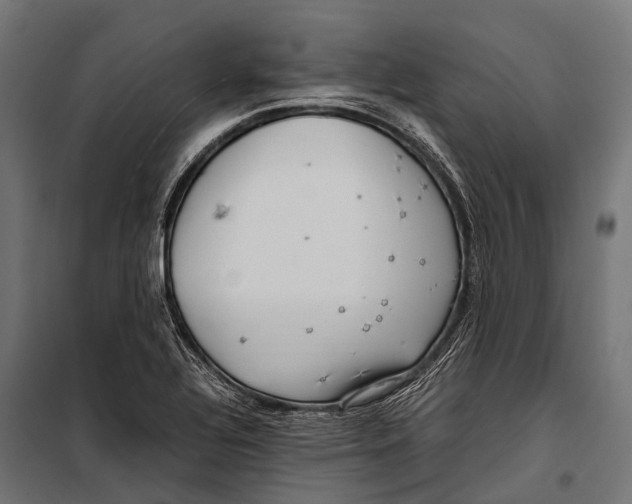 X0000099931320200806201047