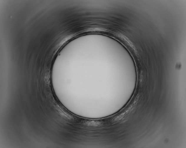 X0000099931321200806201047