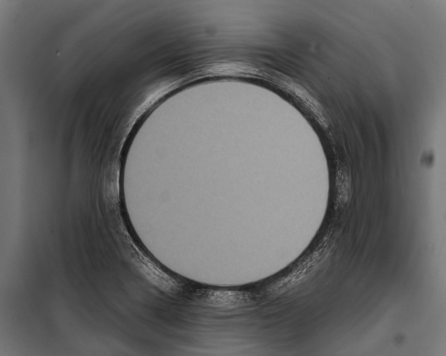 X0000099931322200806201047