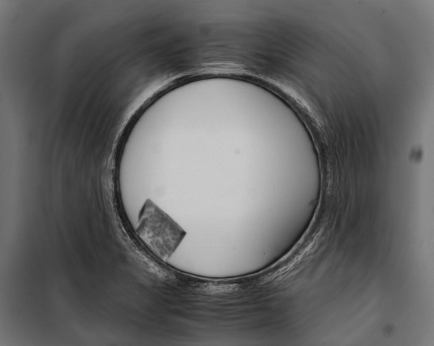 X0000099931325200806201047