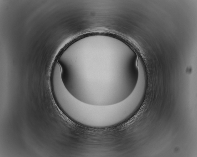 X0000099931326200806201047