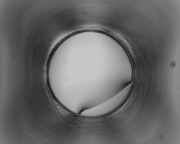 X0000099931328200806201047