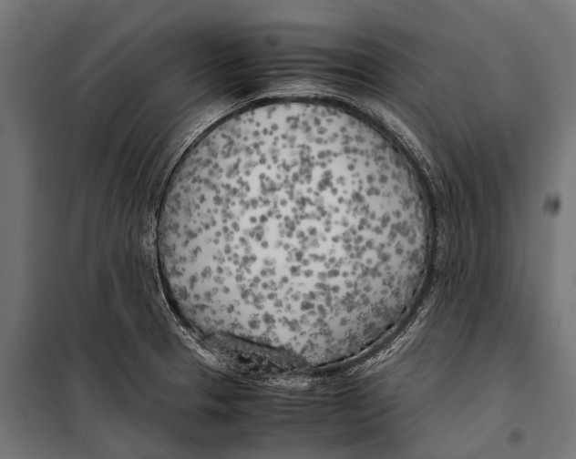 X0000099931329200806201047