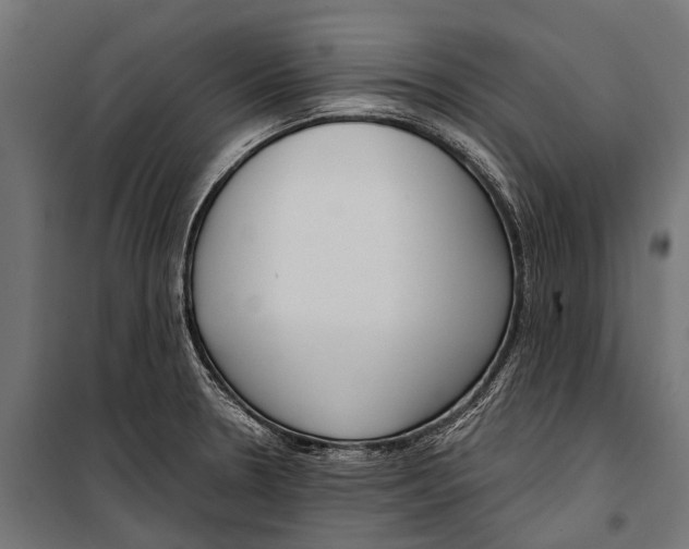 X0000099931330200806201047