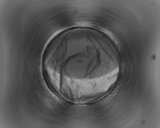 X0000099931331200806201047