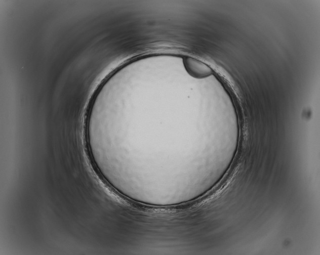 X0000099931333200806201047