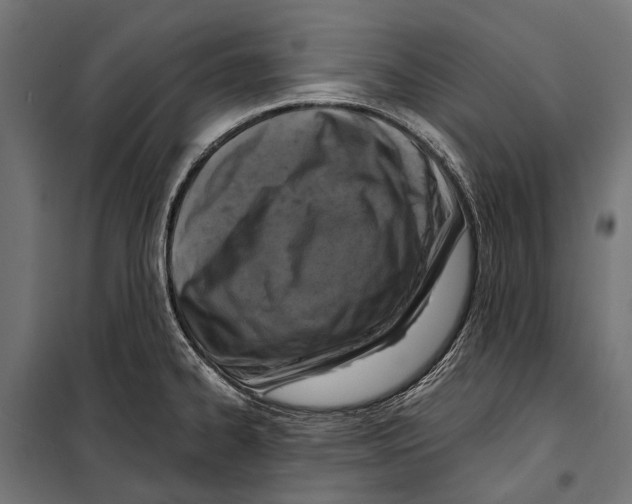 X0000099931334200806201047