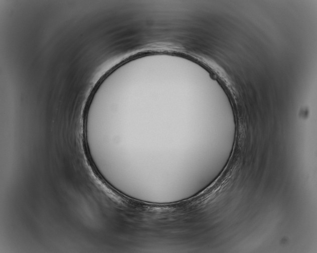 X0000099931335200806201048