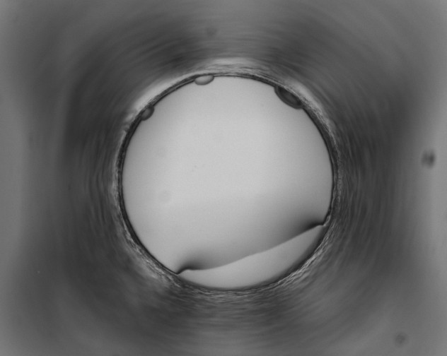 X0000099931336200806201048