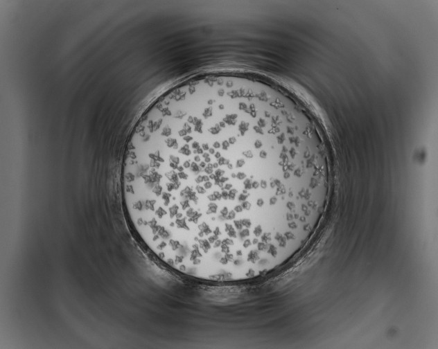 X0000099931337200806201048