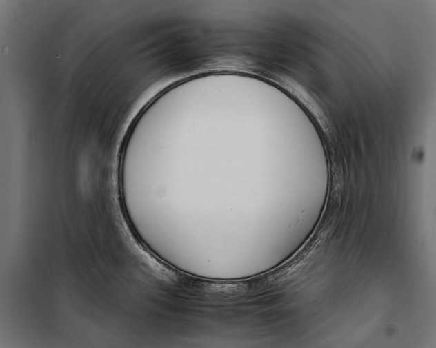 X0000099931339200806201048