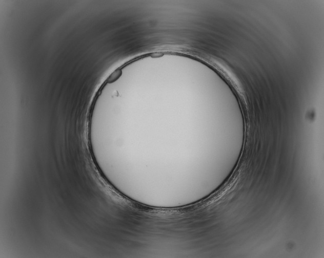 X0000099931340200806201048