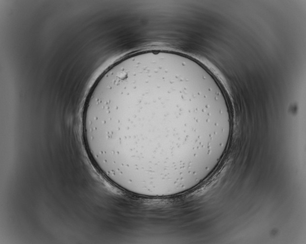 X0000099931341200806201048