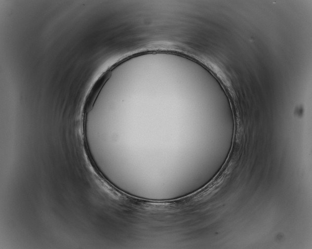 X0000099931342200806201048