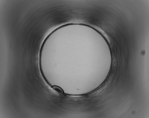 X0000099931343200806201048