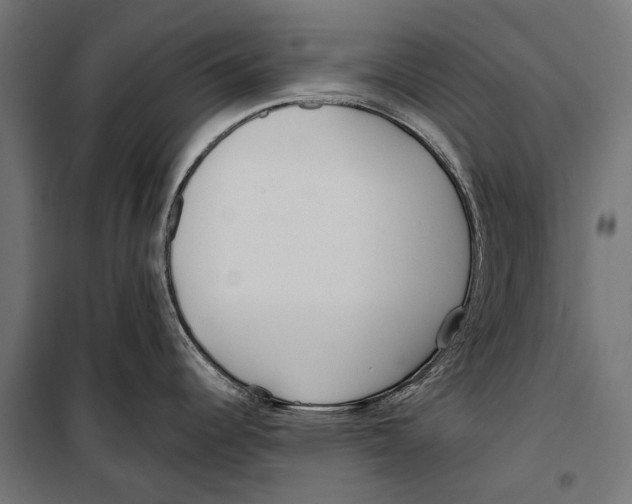 X0000099931344200806201048