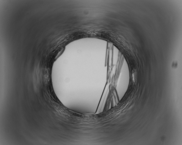 X0000099931347200806201047