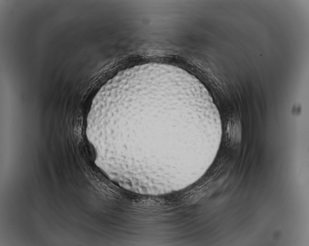 X0000099931348200806201047