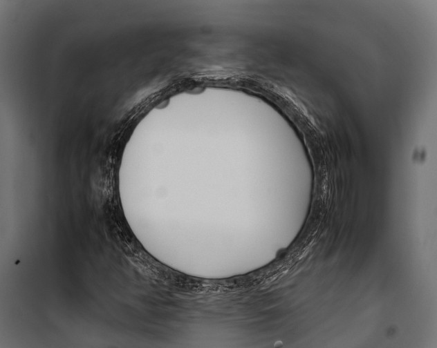 X0000099931350200806201047