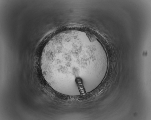 X0000099931351200806201047