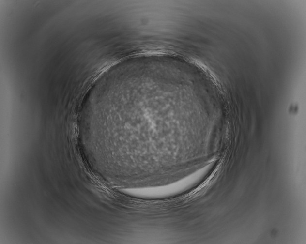 X0000099931353200806201047