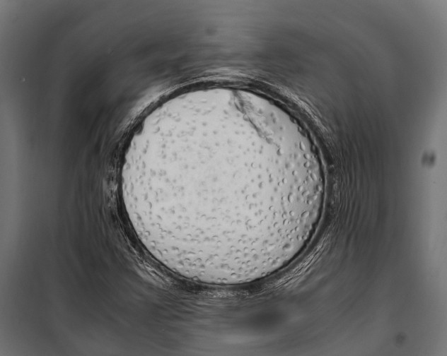 X0000099931355200806201047