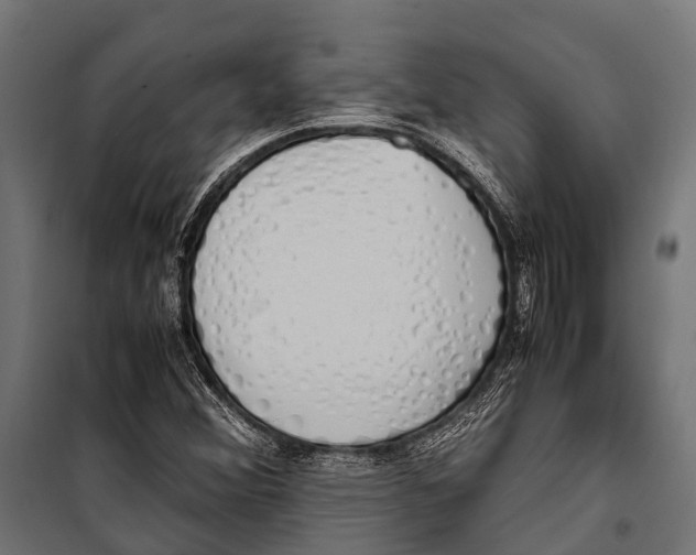 X0000099931356200806201047