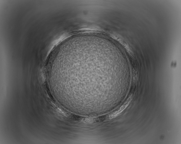 X0000099931357200806201047