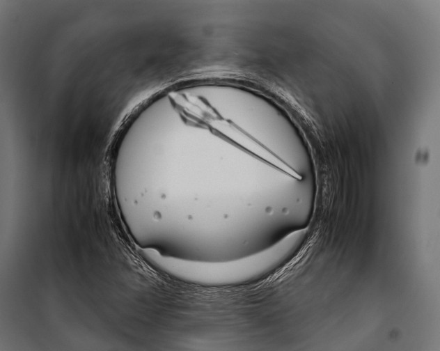 X0000099931358200806201047