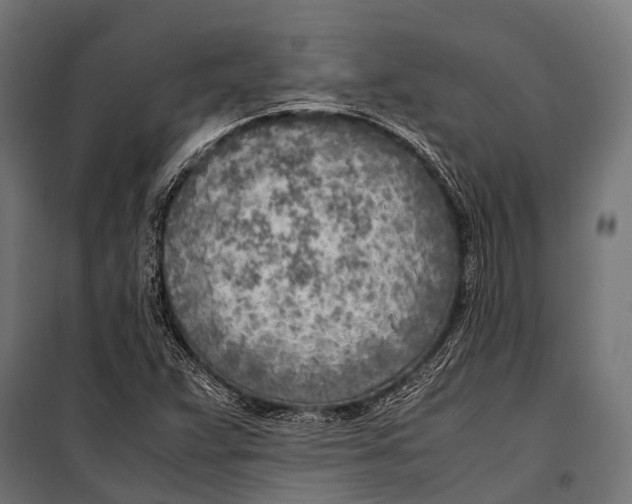 X0000099931359200806201047