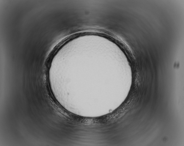 X0000099931360200806201047