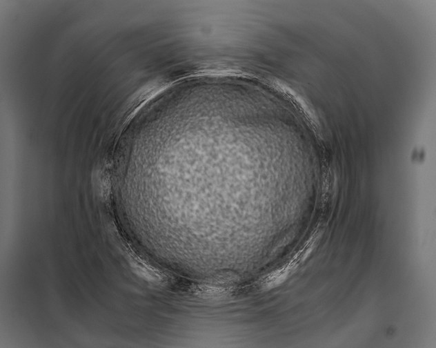 X0000099931361200806201047