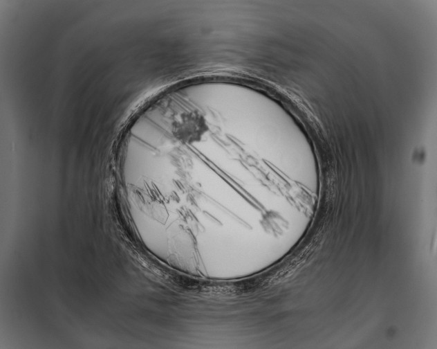 X0000099931363200806201047