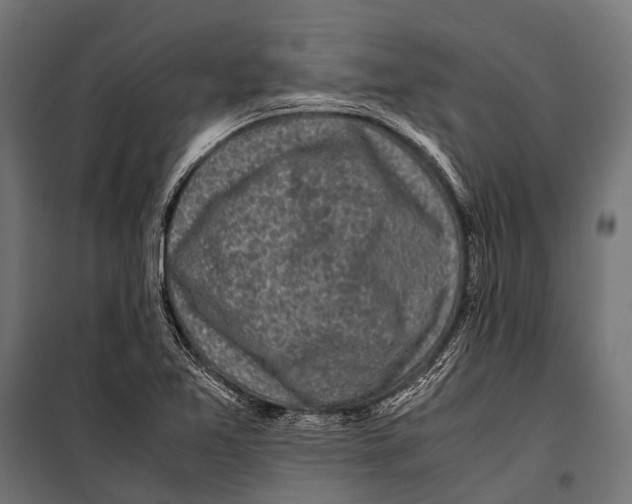 X0000099931365200806201047