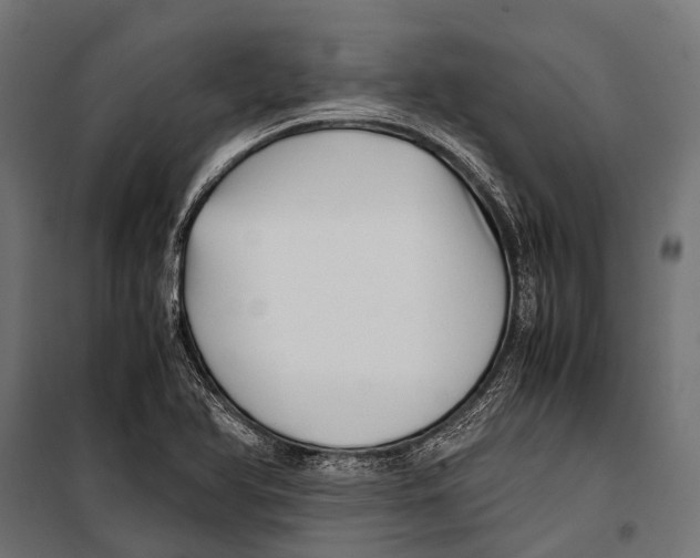 X0000099931366200806201047