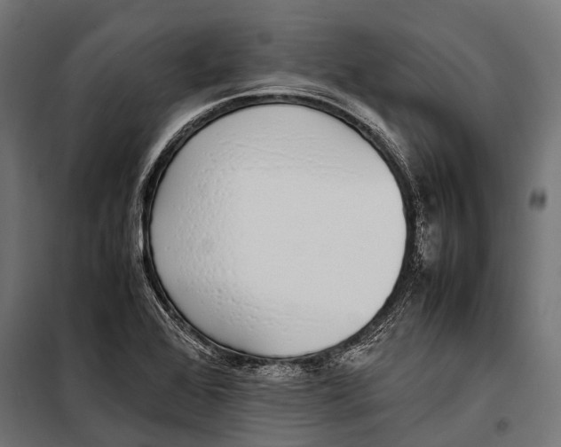 X0000099931368200806201047