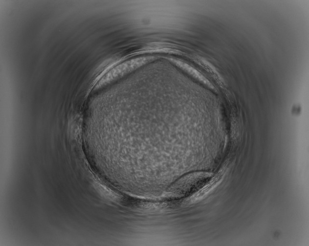 X0000099931369200806201047