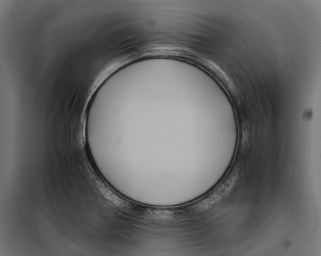 X0000099931370200806201047