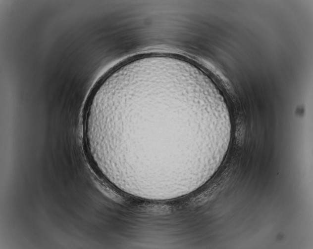 X0000099931372200806201047