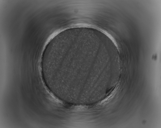 X0000099931373200806201047