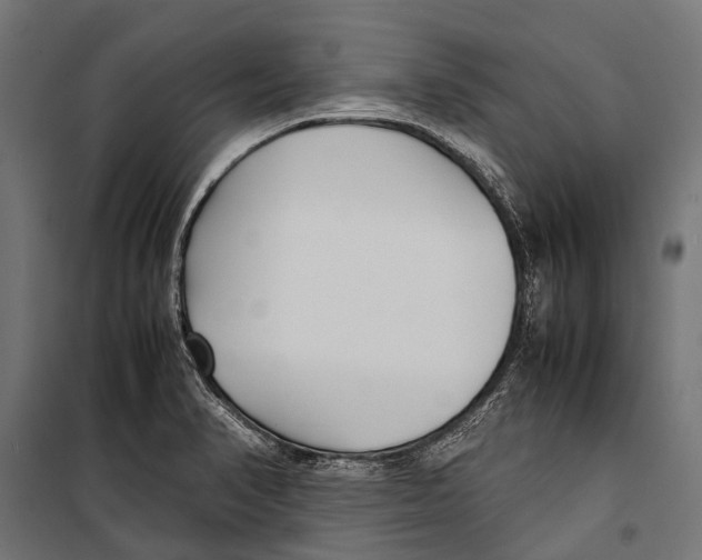 X0000099931374200806201047