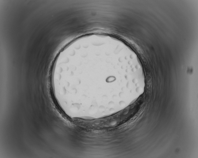 X0000099931375200806201047