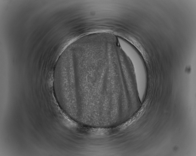 X0000099931377200806201047